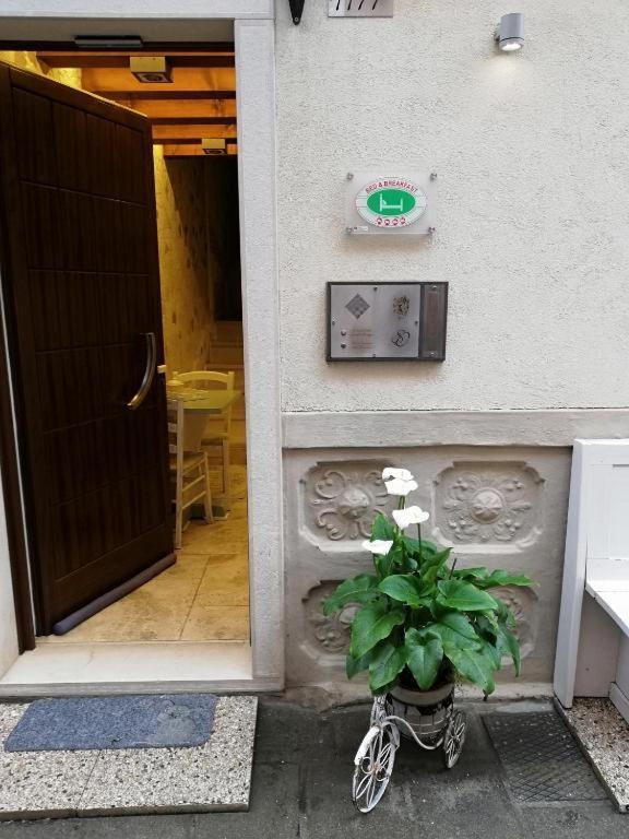 B & B San Domenico Chioggia Ngoại thất bức ảnh